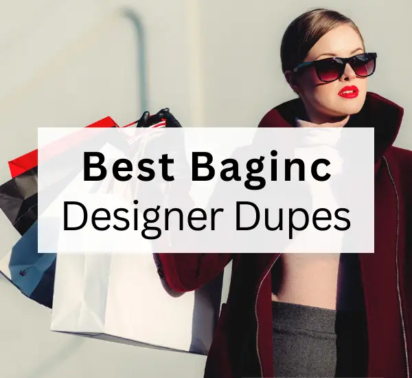 Best baginc designer dupes