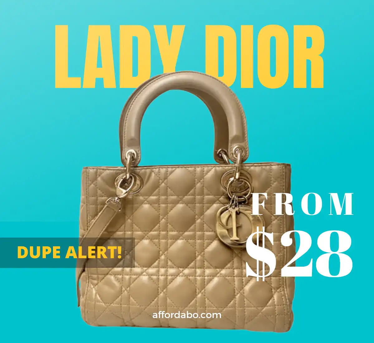 The best lady dior bag dupes (starting at $28)