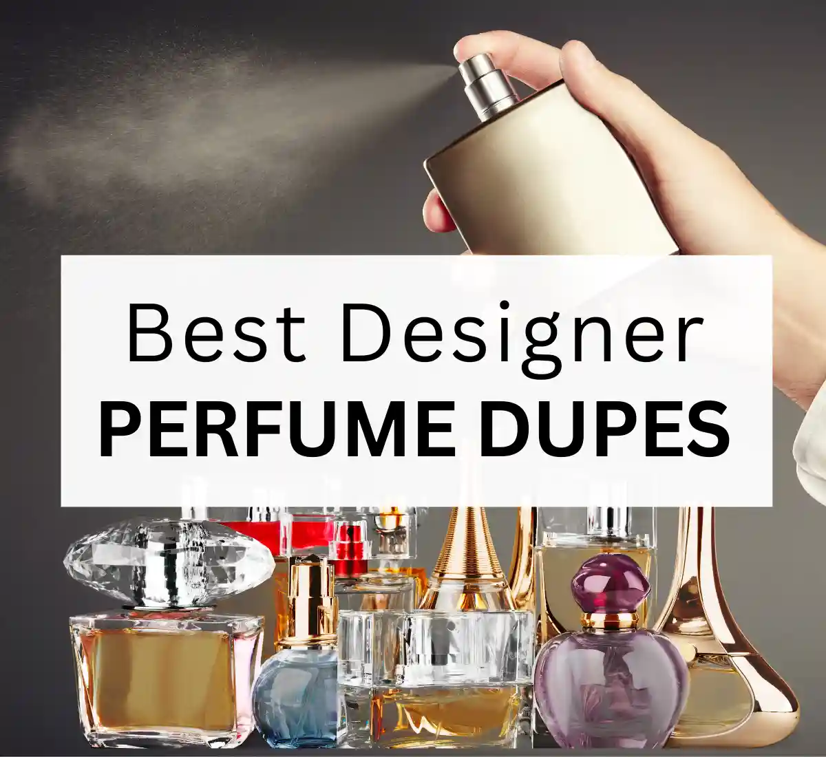 Best designer perfume dupes 2023