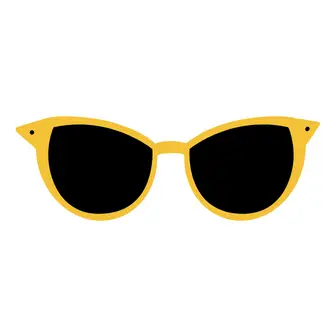 Sunglasses dupes category