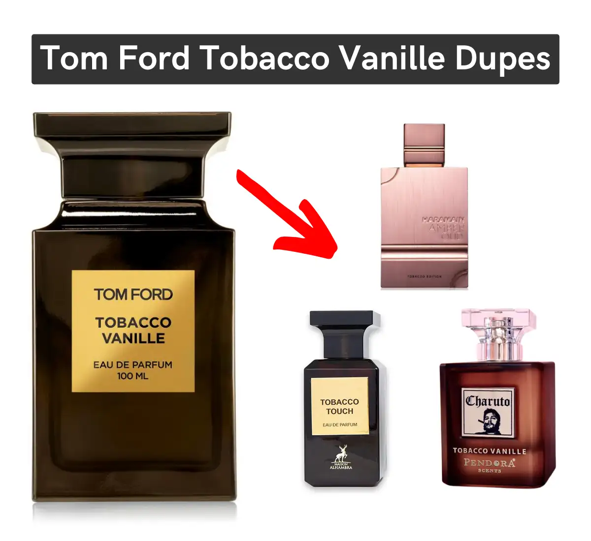 Top 3 tom ford tobacco vanille dupe (from $23)